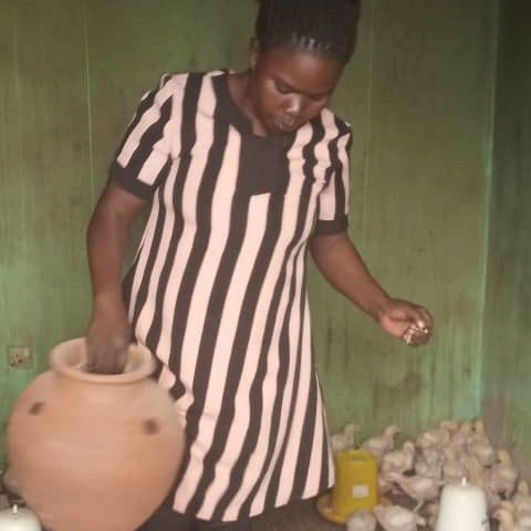 Hens on Gladace Anyungrwoth's poultry farm