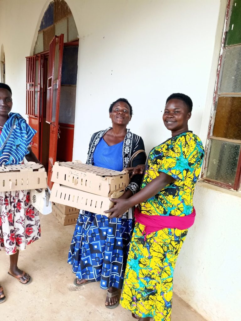 Women carry boxes of day-old chicks outside a church hall