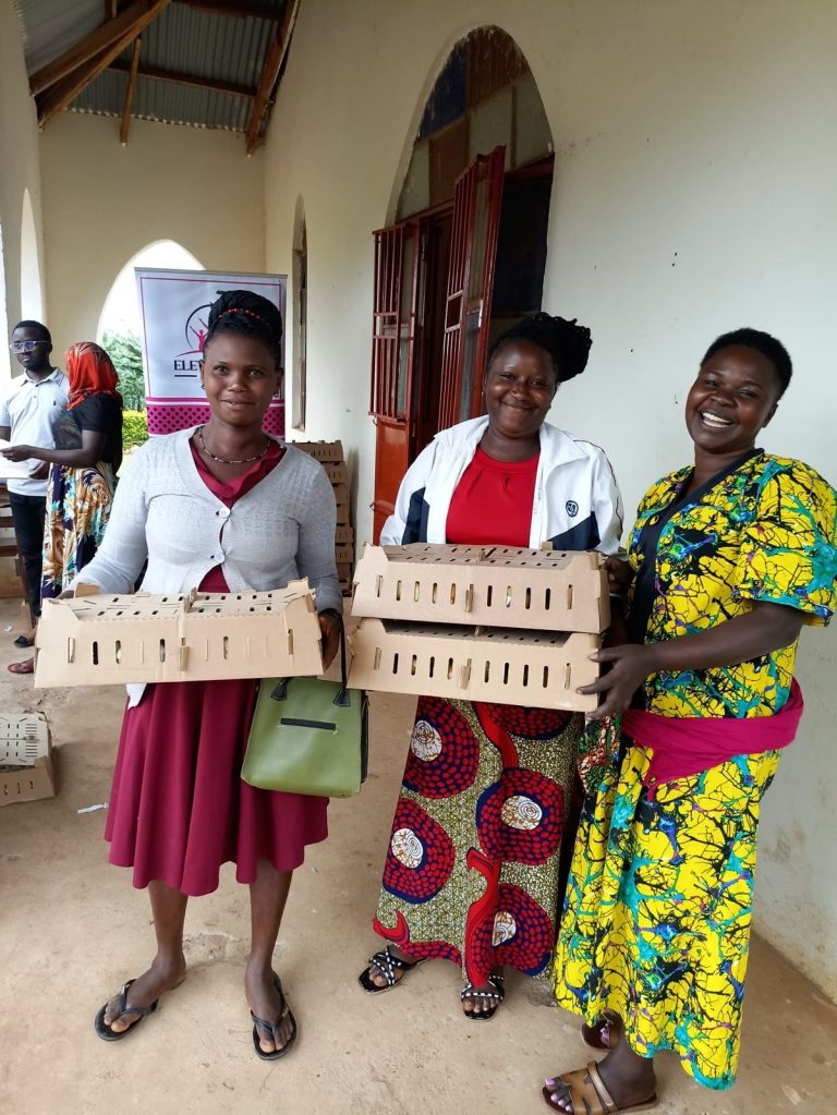 Three women with boxes of chicks