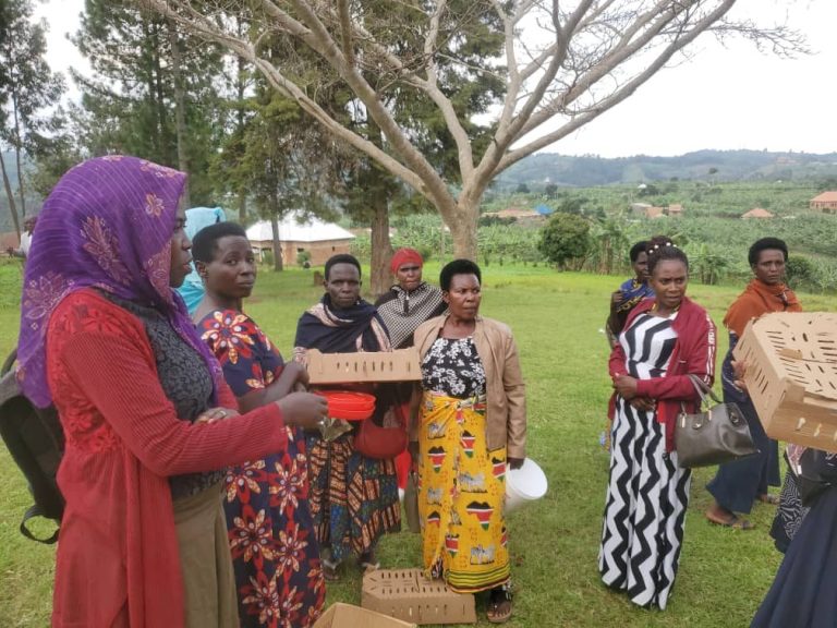 Feeders and drinkers handed out on a school field